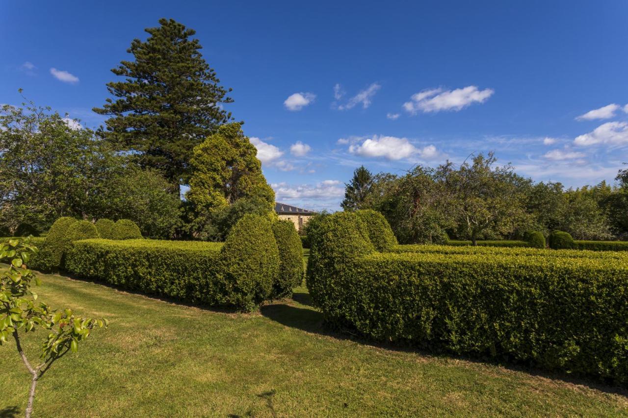 Гостевой дом Araucaria House Баррейрос Экстерьер фото