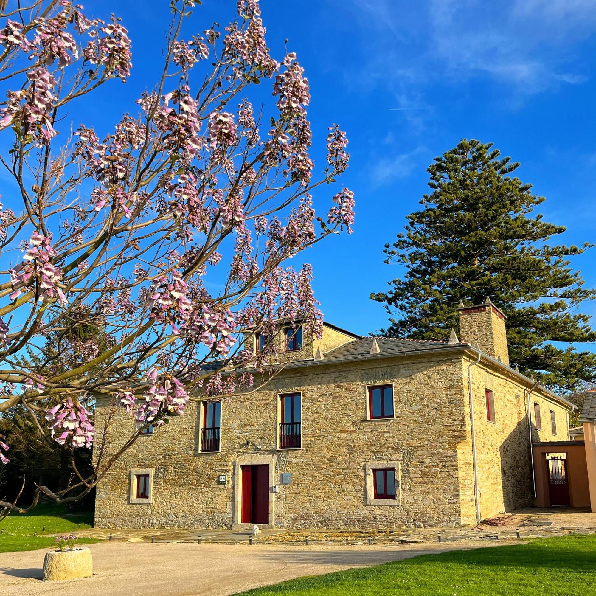 Гостевой дом Araucaria House Баррейрос Экстерьер фото